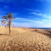 Darak Village (Darak Beach) near Chabahar