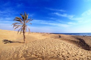 Darak Village (Darak Beach) near Chabahar
