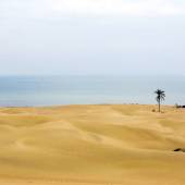 Darak Village (Darak Beach) near Chabahar