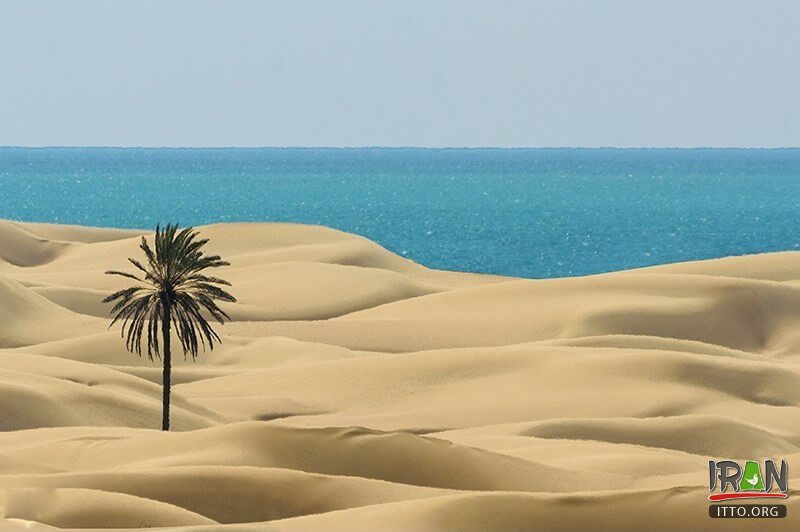 Darak Beach,Sahel-e Darak,Zarabad County,konarak,sistan,balochestan,balouchestan,darak beach,ساحل درک,روستا درک,روستادرک,چابهار,chabahar beach