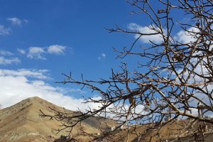 Evin Valley, Darakeh