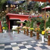 Darband - North of Tehran