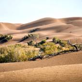 Rig-e Jenn, Desert of Spirits (Dune of the Jinn)