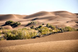 Rig-e Jenn, Desert of Spirits (Dune of the Jinn)