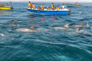 Qeshm Island - Persian Gulf