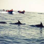 Qeshm Island - Persian Gulf