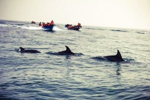 Qeshm Island - Persian Gulf