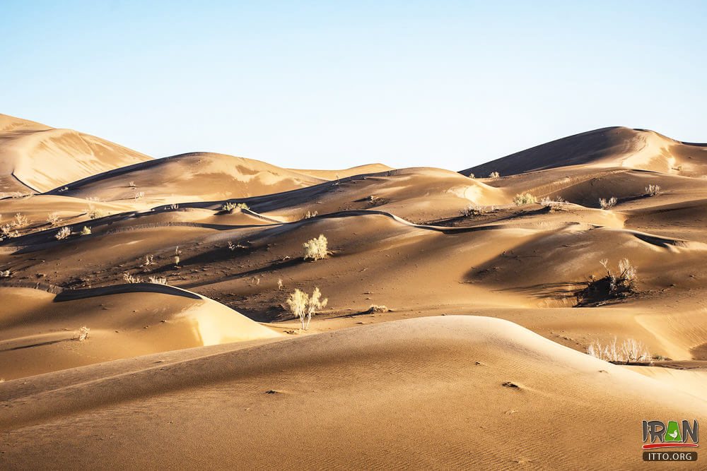 Dune of the Jinn,Kavir-e Jen,The genies’ dune,Rigjen Desert,Dune of the Jenn,Dune of the Jin,کویر ایران,iran desert,iran kavir,isfahan desert,garmsar,semnan province,natural attraction,iran kavir,kavir rige jen,کویرایران,ایران کویر,safari,offroad,off road,iran dune,kavire jen,کویرجن,کویر جن,ریگ جنی,کویرجنی,کویر جنی,مثلث برمودا ایران,bermudairan,iranbermuda,iran bermuda,kavir jinn,kavirejen,kavir jen