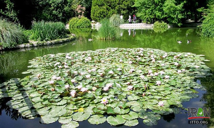 باغ گلهای اصفهان,باغ گل اصفهان,baghe gol esfahan,bagh gol esfaha,isfahan gardens,esfahan garden,Esfahan Flower Garden, Baaghe Golha, Isfahan Flowers Garden