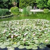 Isfahan Flower Garden