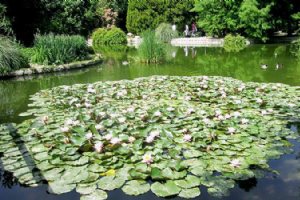 Isfahan Flower Garden