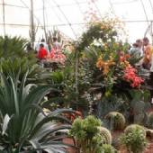 Isfahan Flower Garden