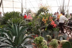 Isfahan Flower Garden
