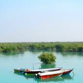 Hara Forest Protected Area in Qeshm Island