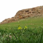 The rock tomb of Fakhrigah near Mahabad
