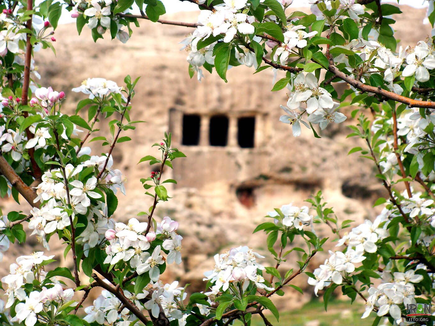 Faghragha,Faqerqa Cave,Fakhrigah Silent Tower,فخریگاه, فخریکا, فقره قا, فقره گاه,faghrigah,fakhregah,faghrgah,faghregah,دخمه فخریگاه,گور دخمه فقرقا مهاباد,mahabad,دوران مادها,Medes,فرورتیش,faratis,diako,diaco,فراورتیش,faravartis,faravartish,faravartihs,اگریقاش,farahgah,فرهگه,ایران باستان,تمدن ما,medes king,ایندرقاش,Eyriqash,Eqriqash,eghrighash,egrighash,eghrighash,Egriqash,mokrian,mokreian,mokryan,مکریان,West Azerbaijan,آذربایجان غربی,مه آباد,mehabad,mah abad,ghom ghaleh,qomqaleh,gom galeh