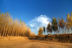 Fall in Aqdaraq village, Meshkin shahr, Ardebil Province