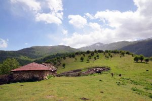 Filband Village near Babol (Mazandaran)