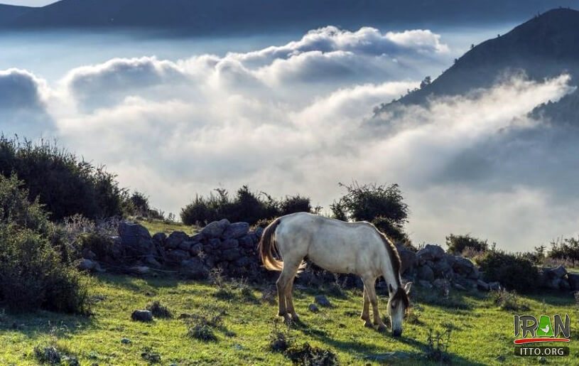 Felband Village,Felban Village,فیل بند,بابل,babol,babul,baboul,fylband,fil band,feilband