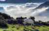 Felband Village,Felban Village,فیل بند,بابل,babol,babul,baboul,fylband,fil band,feilband