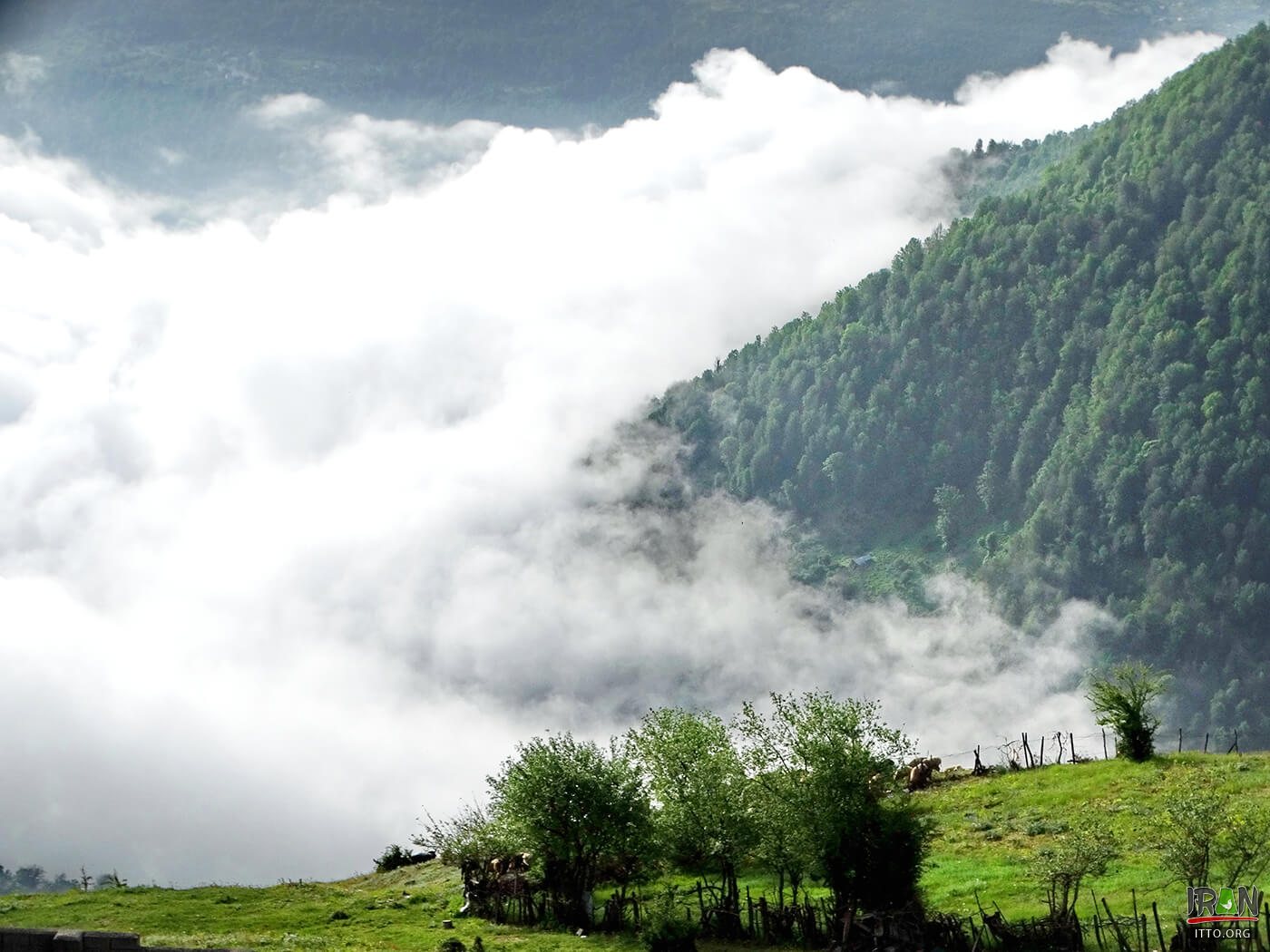 Felband Village,Felban Village,فیل بند,بابل,babol,babul,baboul,fylband,fil band,feilband