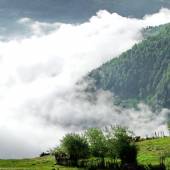 Filband Village in Spring