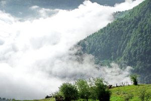 Filband Village in Spring