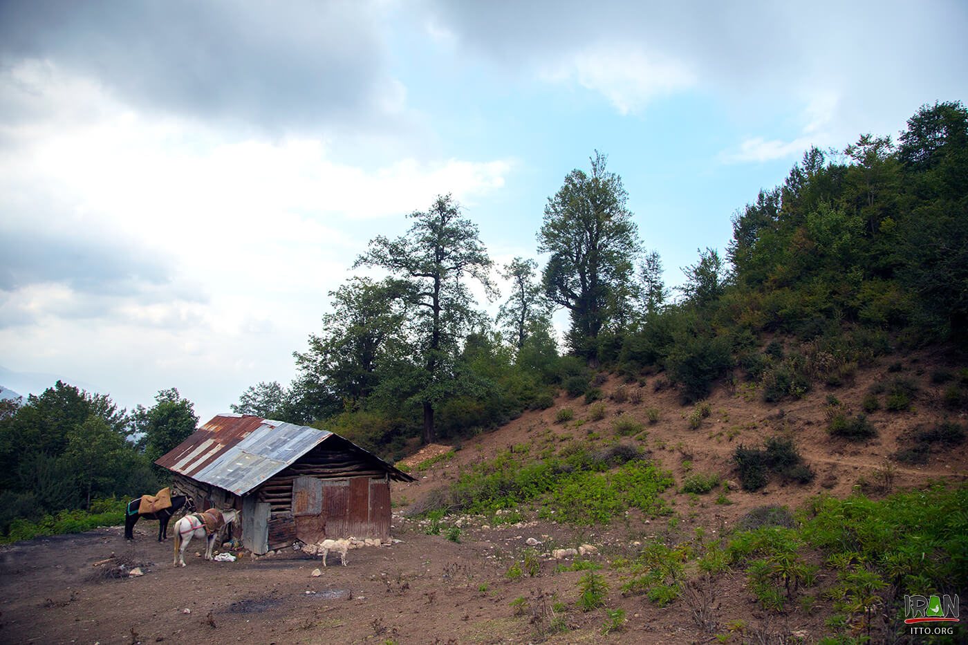 Felband Village,Felban Village,فیل بند,بابل,babol,babul,baboul,fylband,fil band,feilband
