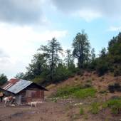 Filband Village - Mazandaran 2019