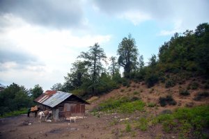 Filband Village - Mazandaran 2019