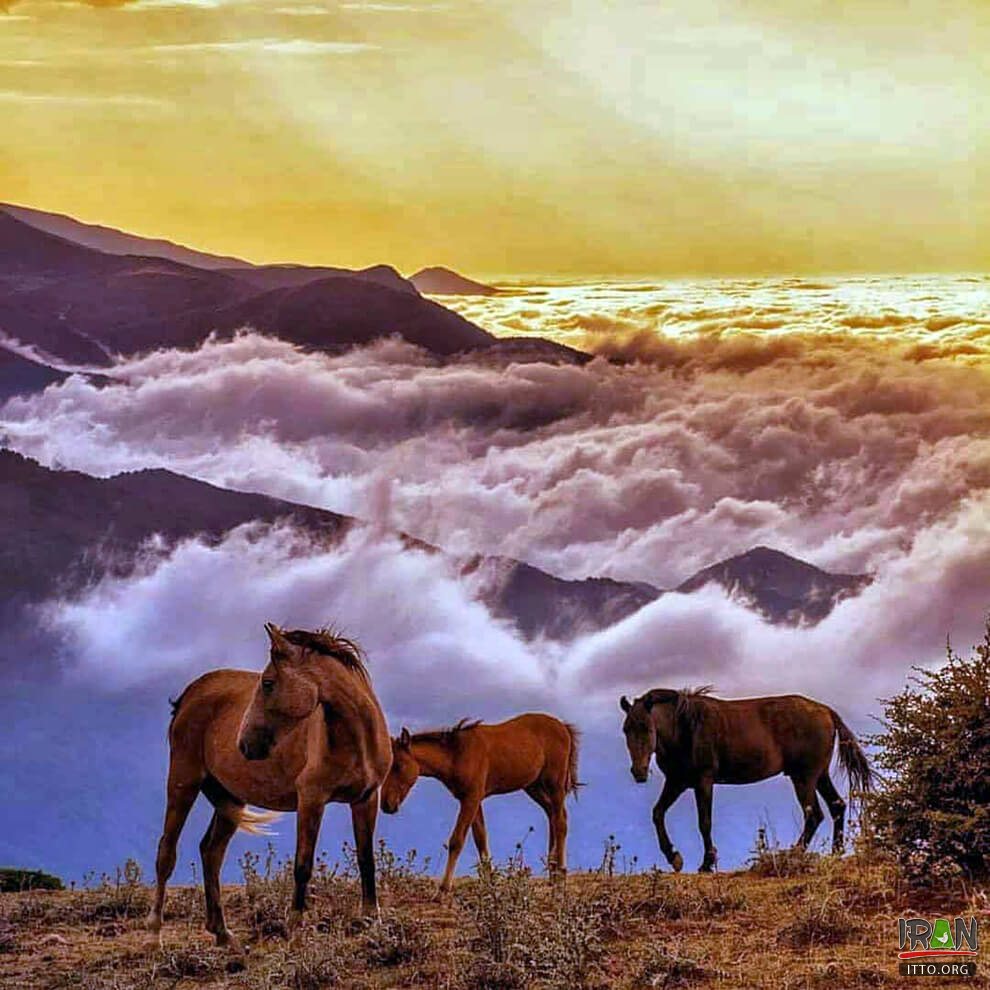 Felband Village,Felban Village,فیل بند,بابل,babol,babul,baboul,fylband,fil band,feilband