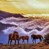 Filband Village near Babol (Mazandaran)