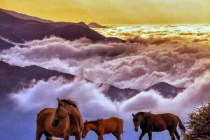 Filband Village near Babol (Mazandaran)