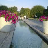 Isfahan Flower Garden