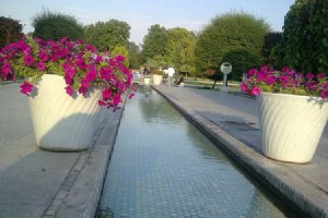 Isfahan Flower Garden
