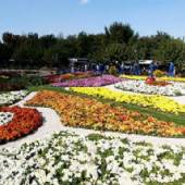 Isfahan Flower Garden