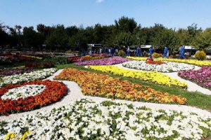 Isfahan Flower Garden
