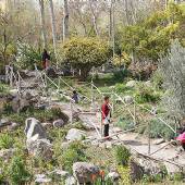 Isfahan Flower Garden