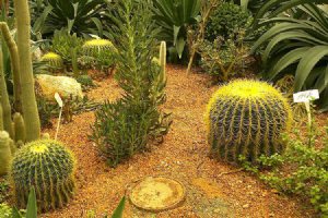 Isfahan Flower Garden