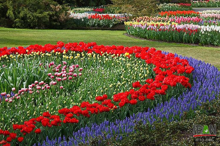 باغ گلهای اصفهان,باغ گل اصفهان,baghe gol esfahan,bagh gol esfaha,isfahan gardens,esfahan garden,Esfahan Flower Garden, Baaghe Golha, Isfahan Flowers Garden