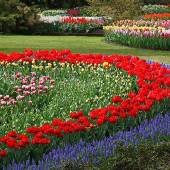 Isfahan Flower Garden