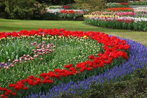 Isfahan Flower Garden