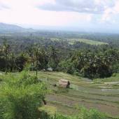 Nature around Fooman