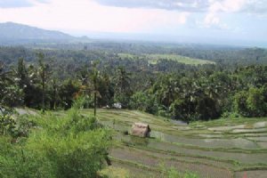 Nature around Fooman