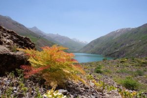 Gahar Lake - Dorud (Lorestan Province)