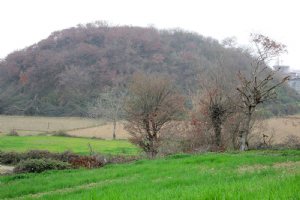 Gerdkooh Ancient Hill - Qaem Shahr (Mazandaran)