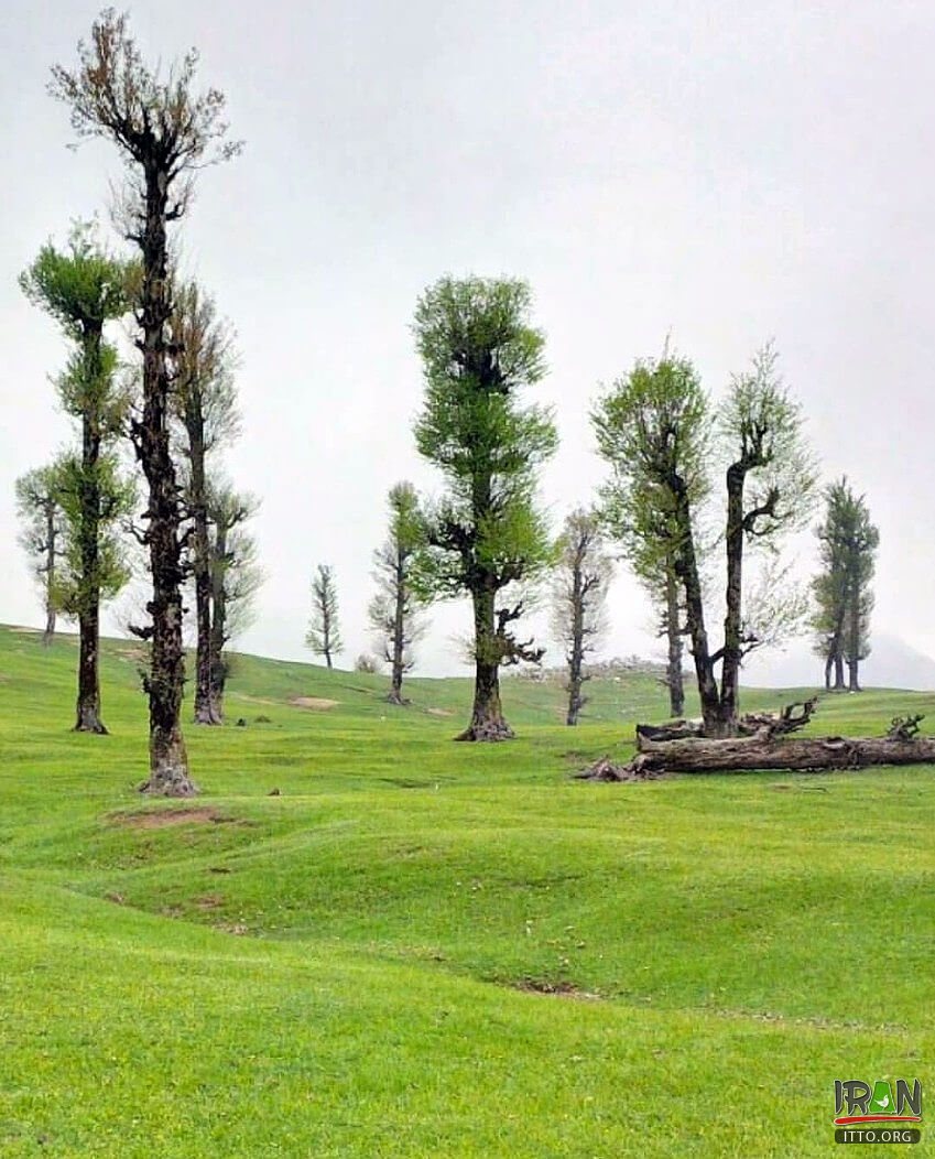 Ghale Ghaafeh Village,Roosta-ye Qaleh Qaafeh,Ghale Ghafeh Paaein,Qal’eh-Qafeh,روستای قلعه قافه,مینودشت,minodasht,minoodasht,minudasht,ghaleghafeh,ghaleh ghaafeh,roosta ghalle ghafe,qaleh qafeh,قلعه قافه پایین,روستای قلعه قاف پائین,ghale ghafe,mynodasht,minudasht