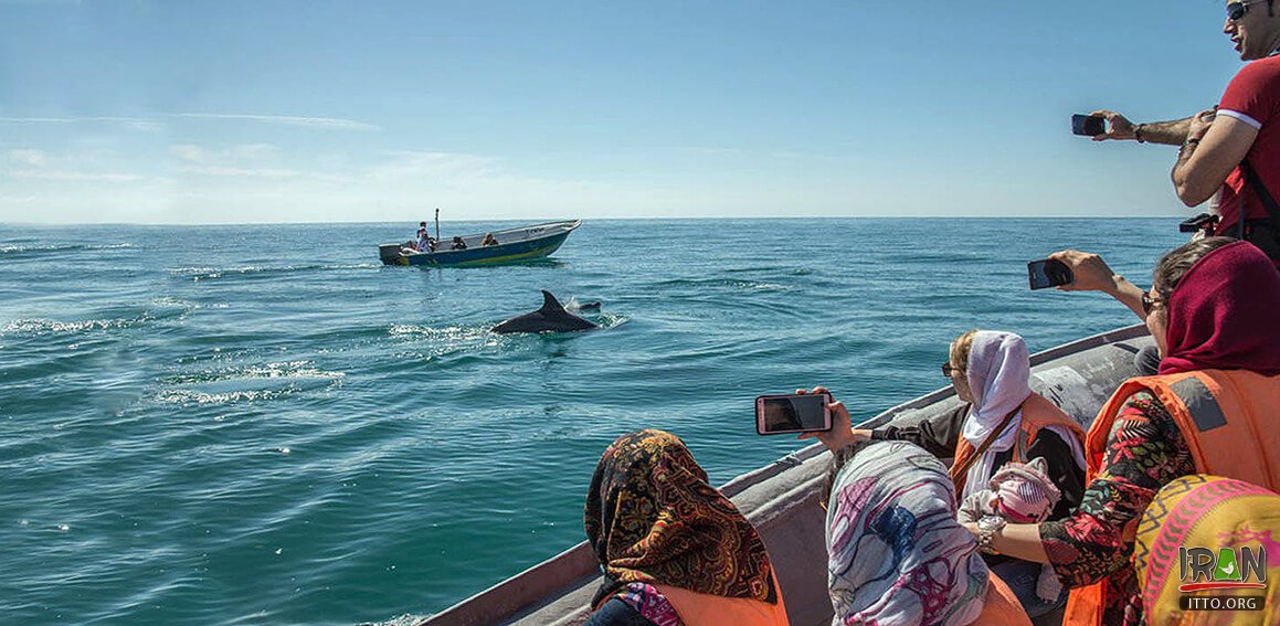 Qeshm Island,Iran Tourism,Hormozgan Province,Travel to Iran,جزیره قشم,gheshm island,iran south,persian gulf,خلیج فارس,استان هرمزگان,hormuzgan,hormozgan,gheshm,qishm island