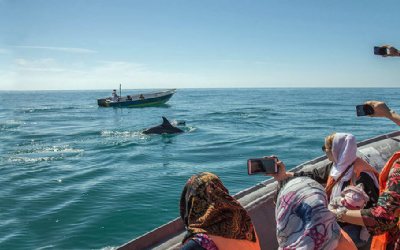 Qeshm Island, Iran Tourism, Hormozgan Province, Travel to Iran
