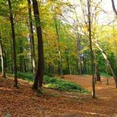 Golestan National Park